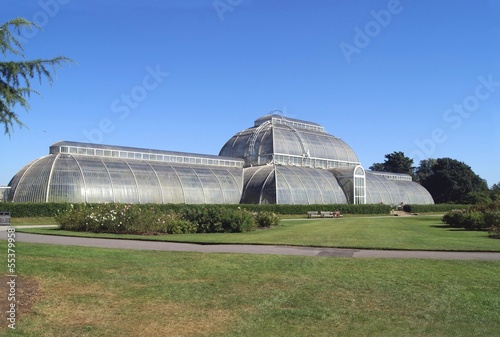 Photo: greenhouse scene greenhouse scene