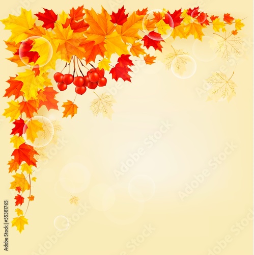 Vector: Autumn background with colorful leaves. Back to school. Vector i Autumn background with colorful leaves. Back to school. Vector i