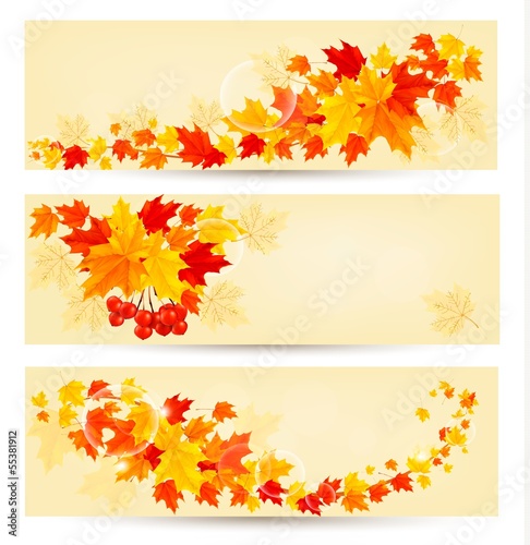 Vector: Three autumn backgrounds with colorful leaves. Back to school. V Three autumn backgrounds with colorful leaves. Back to school. V