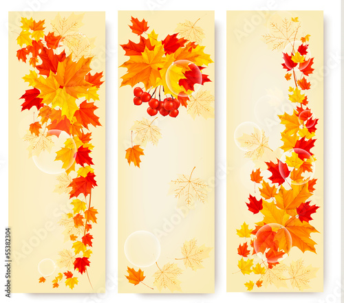 Vector: Three autumn backgrounds with colorful leaves. Back to school. V Three autumn backgrounds with colorful leaves. Back to school. V