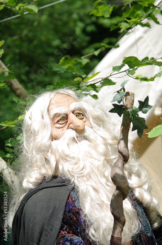 Photo: vieux druide vieux druide