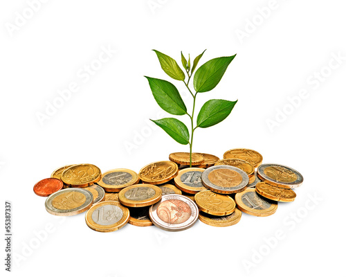 Photo: Sapling growing from coins Sapling growing from coins