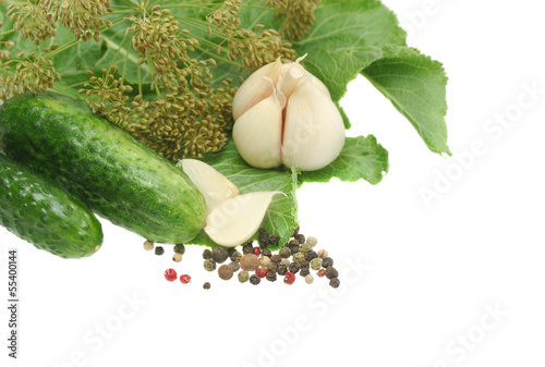 Photo: Ingredients for marinate isolated on white Ingredients for marinate isolated on white