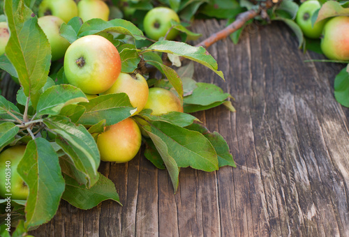 Photo: Organic Apples with leaves on wooden background Organic Apples with leaves on wooden background