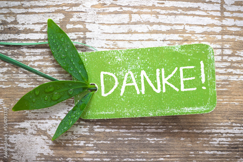 Photo: grüne "Danke!"-Plakette auf natürlichem Holzhintergrund grüne "Danke!"-Plakette auf natürlichem Holzhintergrund