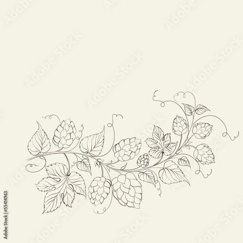 Illustration: Hops with leafs isolated on sepia. Hops with leafs isolated on sepia.