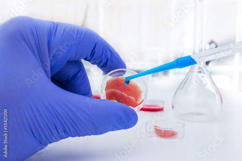 Photo: Meat cultured in laboratory conditions Meat cultured in laboratory conditions