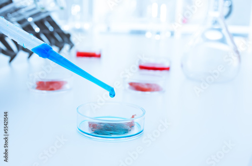 Photo: Meat cultured in laboratory conditions.lab Meat cultured in laboratory conditions.lab