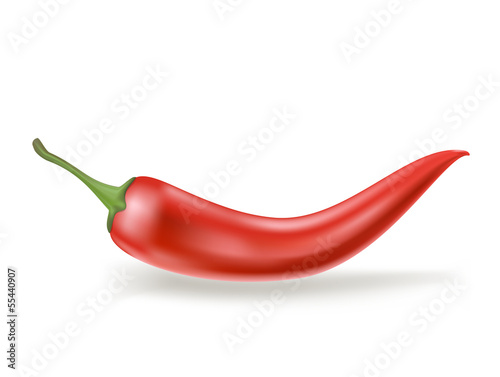 Vector: red hot chili pepper on white red hot chili pepper on white