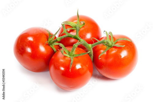 Photo: Closeup of tomatoes on the vine isolated on white. Tomato branch Closeup of tomatoes on the vine isolated on white. Tomato branch