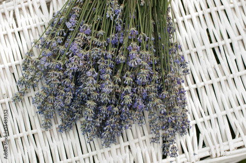 Photo: Laventer Laventer