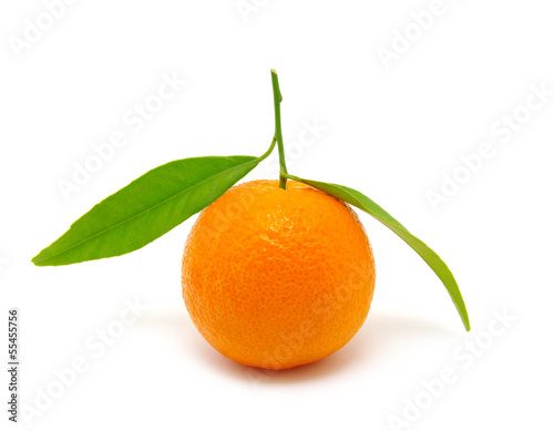 Photo: mandarin on white mandarin on white