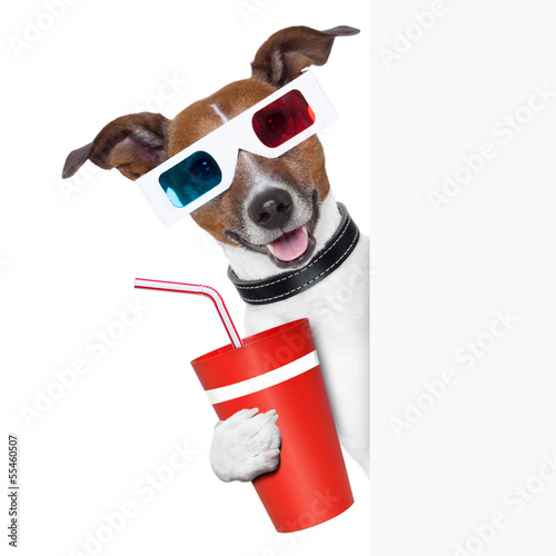 Photo: cinema dog cinema dog