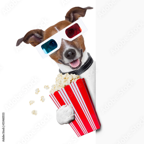 Photo: cinema dog cinema dog