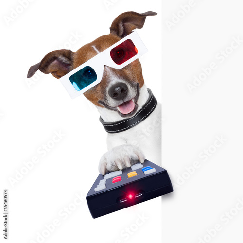 Photo: 3d glasses movie dog 3d glasses movie dog