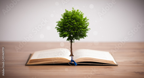 Photo: Tree growing from an open book Tree growing from an open book
