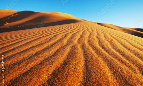 Photo: Desert Desert