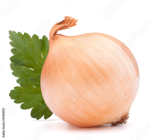 Photo: Onion vegetable bulb and parsley leaves still life Onion vegetable bulb and parsley leaves still life