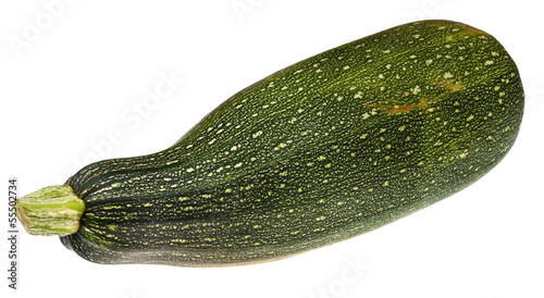 Photo: green zucchini green zucchini