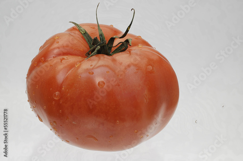 Photo: Fleischtomate mit Wassertropfen Fleischtomate mit Wassertropfen