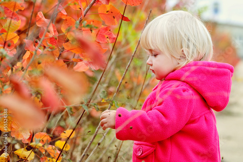 Photo: sweet toddler girl sweet toddler girl