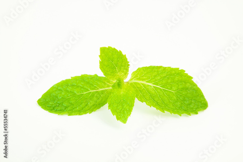 Photo: peper mint peper mint