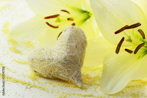 Photo: Lilien,Herz Lilien,Herz