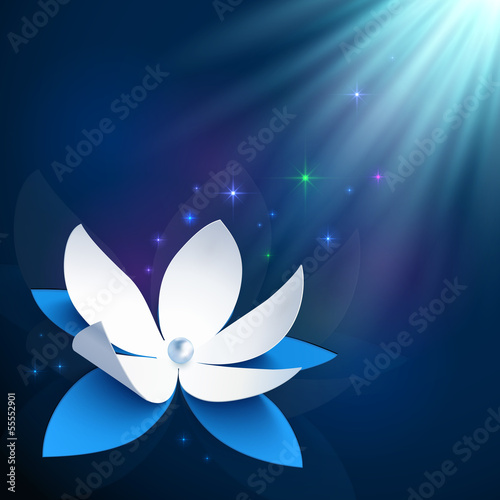 Vector: Night cosmic flower vector background Night cosmic flower vector background