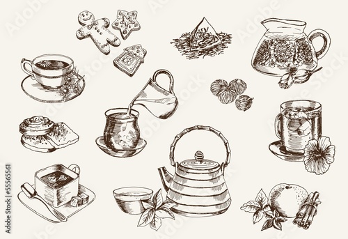 Vector: Some types of tea Some types of tea