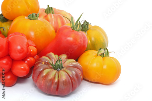 Photo: tomates variétés anciennes tomates variétés anciennes