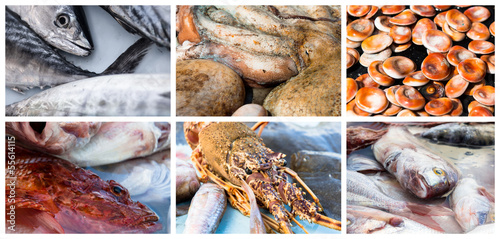 Photo: Collage of raw seafood Collage of raw seafood