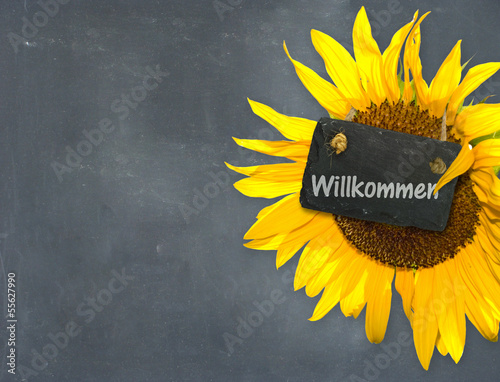 Photo: Willkommen Willkommen