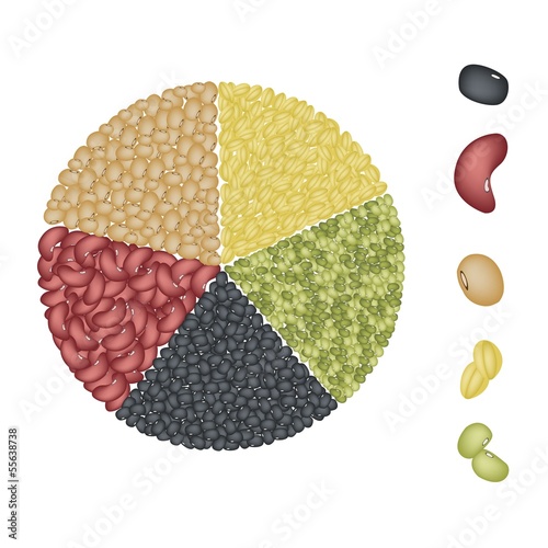Vector: Set of Beans in Pie Chart Concept Set of Beans in Pie Chart Concept