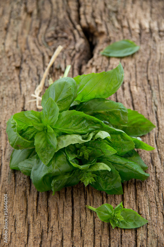 Photo: Bunch of basil on the old board. Selective focus. Bunch of basil on the old board. Selective focus.