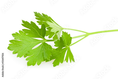 Photo: Parsley Parsley