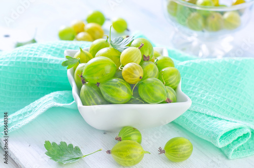 Photo: gooseberry gooseberry