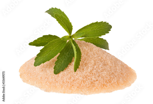 Photo: Stevia leaves Stevia leaves