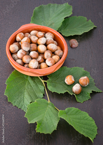 Photo: Hazelnuts with leaves Hazelnuts with leaves