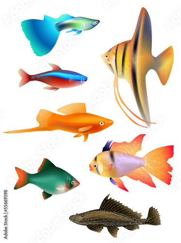 Vector: set of aquarium fishes set of aquarium fishes