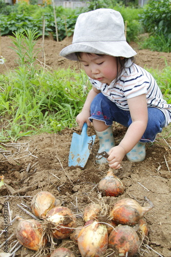 Photo: 収穫の喜び 収穫の喜び