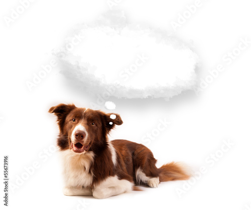 Photo: Cute dog with empty cloud bubble Cute dog with empty cloud bubble
