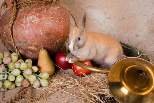 Photo: Autumn hunting still life Autumn hunting still life