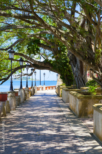 Photo: Park In San Juan Park In San Juan