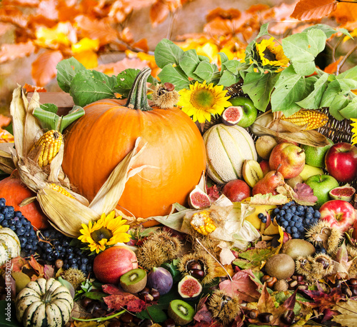 Photo: Herbst: Stillleben mit Früchten und Sonnenblumen Herbst: Stillleben mit Früchten und Sonnenblumen