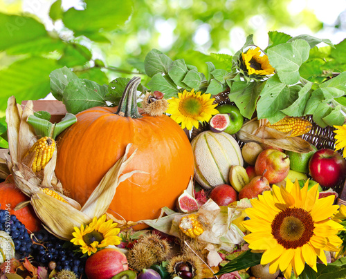 Photo: Herbst: Stillleben mit Früchten und Sonnenblumen Herbst: Stillleben mit Früchten und Sonnenblumen