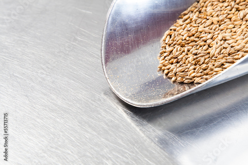 Photo: Beer Malt Beer Malt