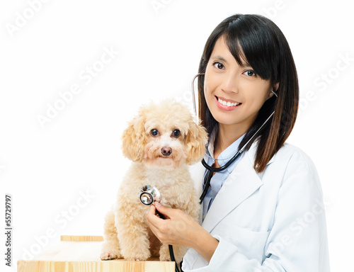 Photo: Asian female veterinarian Asian female veterinarian