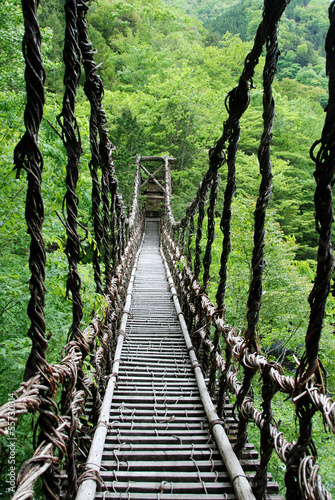 Fototapeta Pont de lianes Kazura-bashi à Oku Iya, Shikoku, Japon