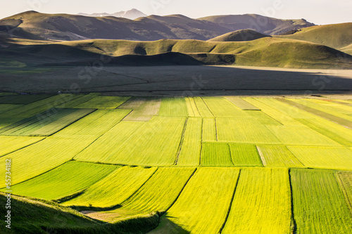 Photo: Italia, campi coltivati Italia, campi coltivati