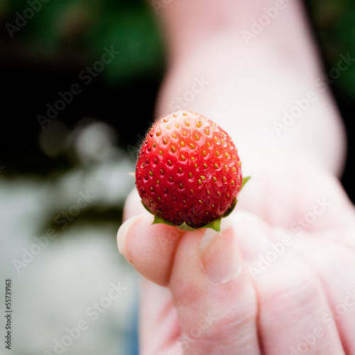 Photo: fraise offerte fraise offerte